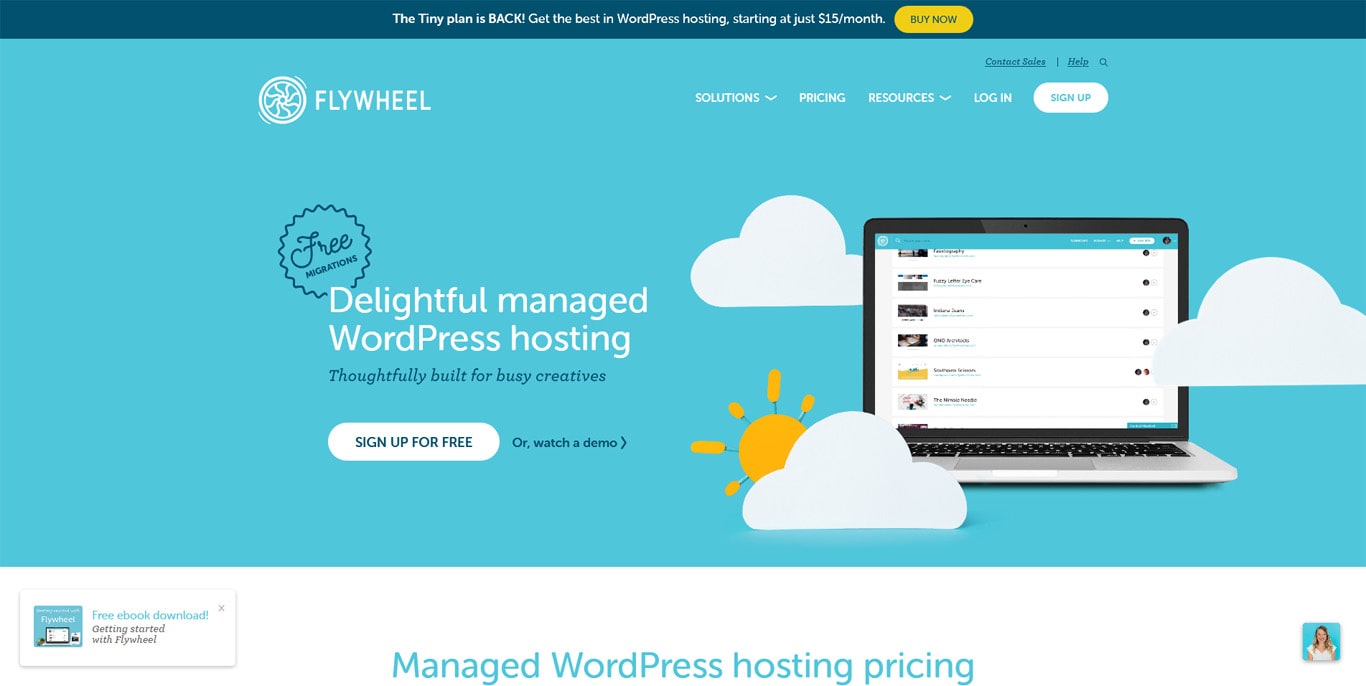 Flywheel hosting homepage screenshot